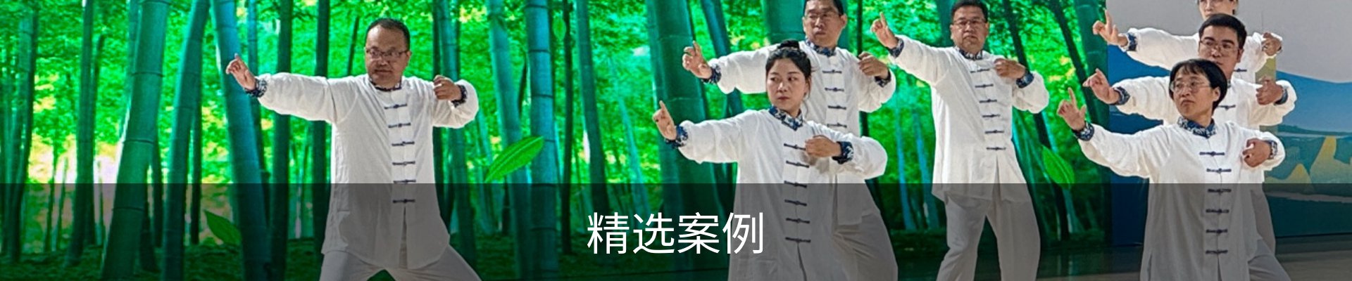 精选案例
